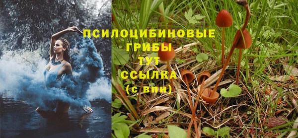 стафф Волосово