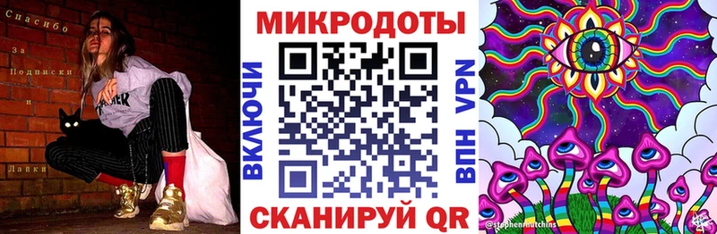 Купить где  Камбарка  Псилоцибиновые грибы Psilocybe 